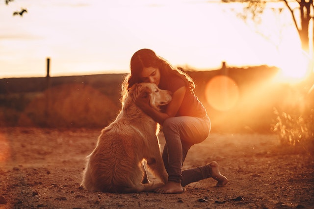 young-woman-hugging-golden-retriever-dog-in-countryside-at-sundown