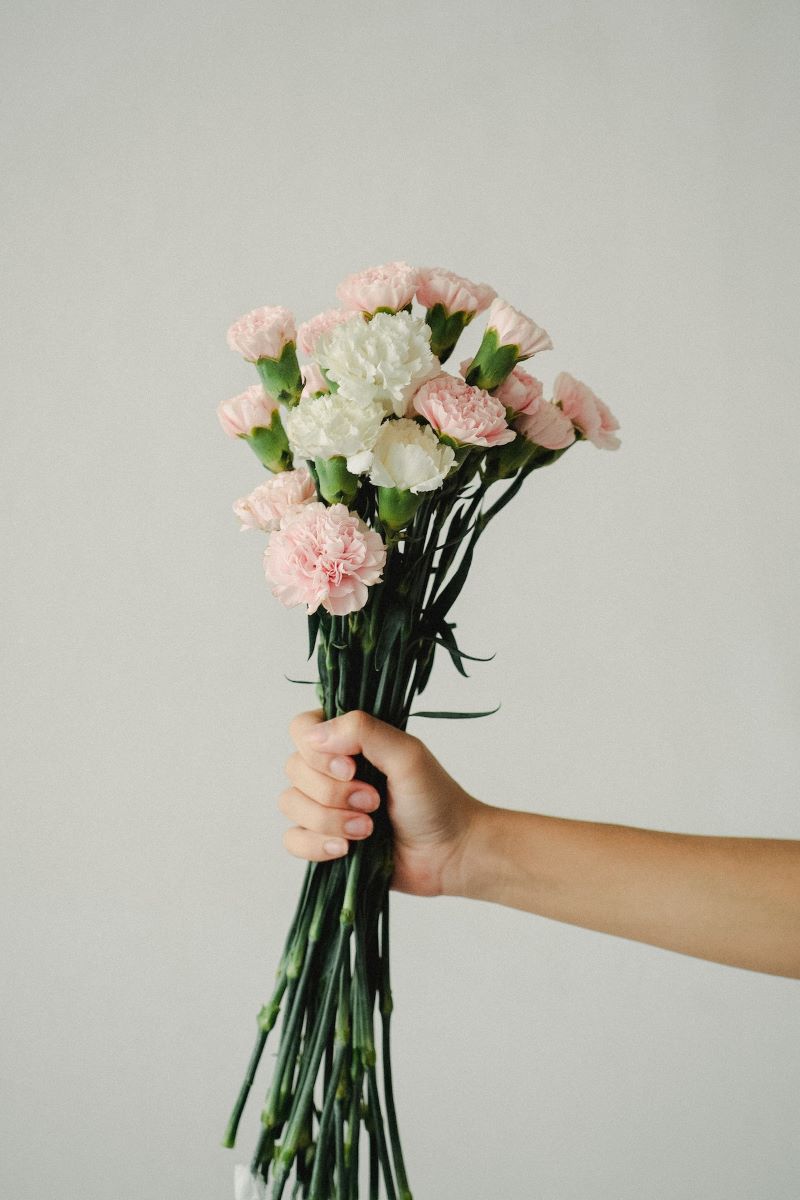 crop unrecognizable-woman holding bunch of light carnations